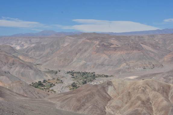 Um pequeno oásis verde no meio do deserto, a caminho de Iquique - Chile